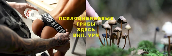 гидра Алексеевка