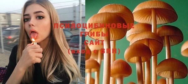 гидра Алексеевка