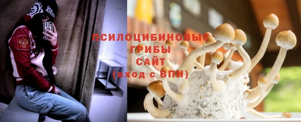 бошки Алзамай