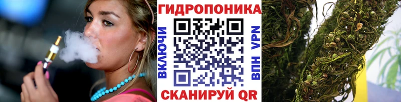 купить закладку  Петрозаводск  OMG зеркало  Шишки марихуана MAZAR 